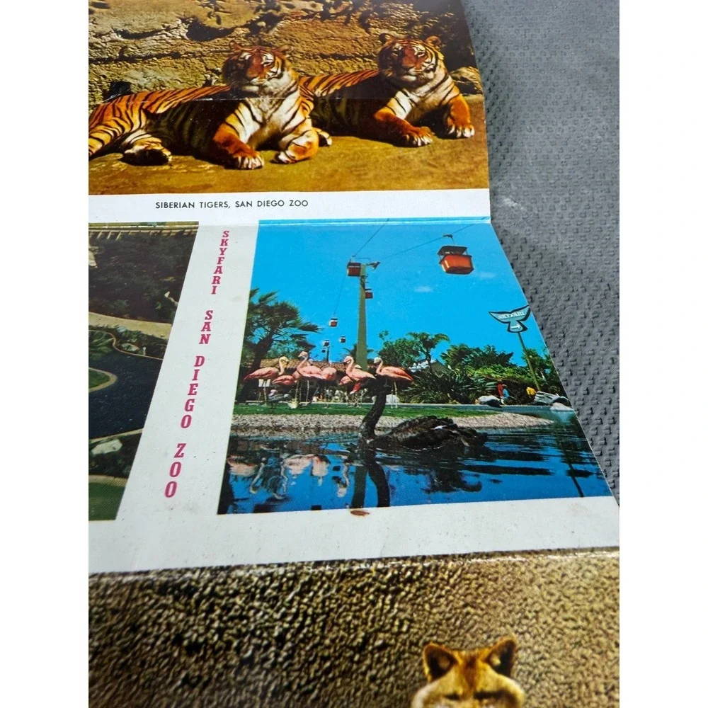 Vintage San Diego Zoo Postcard Folder 12 Views Balboa Park California Curt Teich
